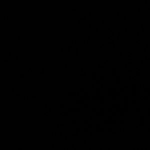 Worded graphic tee crop bundle